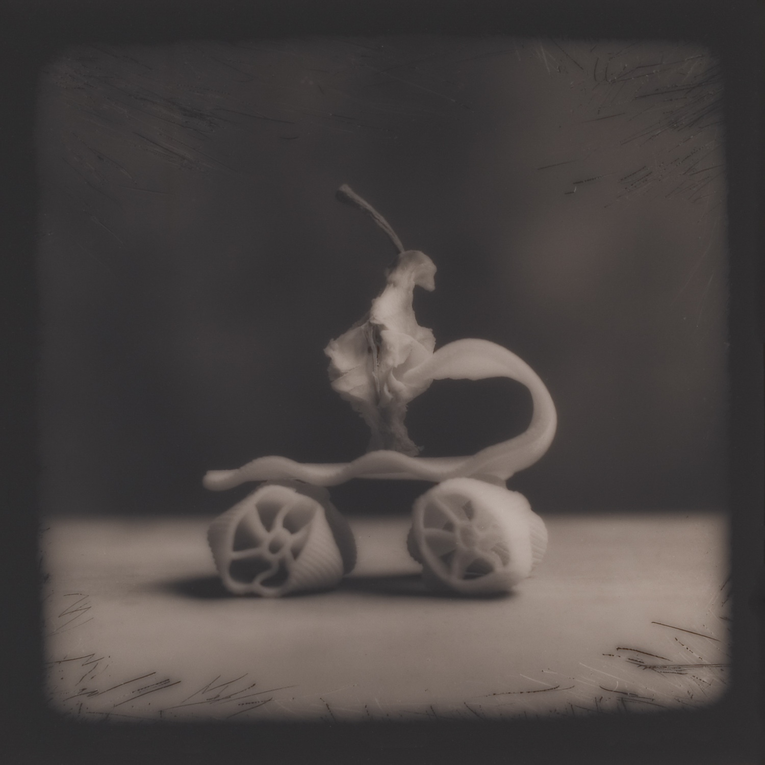 from the series Tales